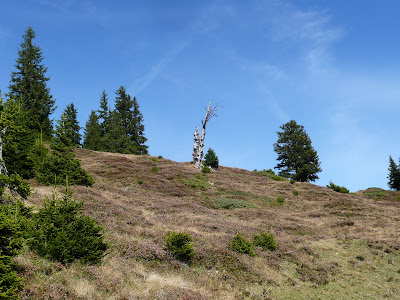 P1030335.JPG