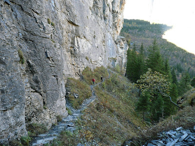 P1030353.JPG
