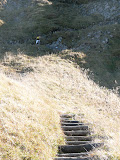 P1030447.JPG