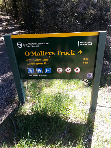 O'Malleys Track