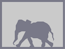 Thumbnail of the map 'Battle of Elephanto'