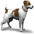 Dog Breed Picture Quiz mobile app icon