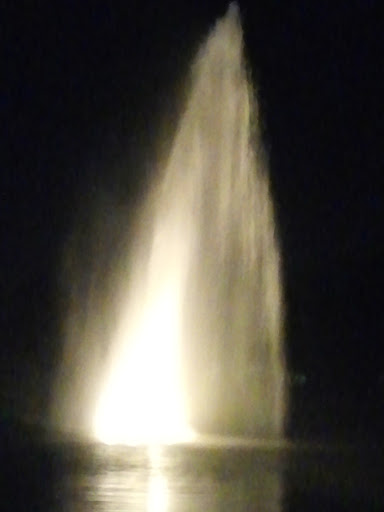 Lighted Lake Fountain