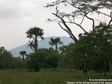 nomad4ever_java_baluran_CIMG5141.jpg
