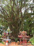 nomad4ever_myanmar_ranong_CIMG1097.jpg