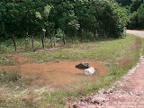 nomad4ever_laos_vang_vien_CIMG0668.jpg