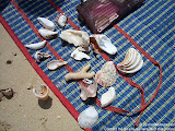 nomad4ever_indonesia_sulawesi_pulau_gangga_CIMG2602.jpg
