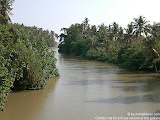 nomad4ever_indonesia_bali_landscape_CIMG1751.jpg