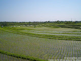 nomad4ever_indonesia_bali_landscape_CIMG1641.jpg