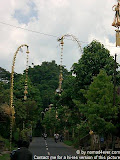 nomad4ever_indonesia_bali_landscape_CIMG1865.jpg