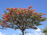 nomad4ever_indonesia_bali_landscape_CIMG1904.jpg