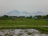 nomad4ever_indonesia_bali_landscape_CIMG2107.jpg