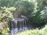 nomad4ever_indonesia_bali_landscape_CIMG2356.jpg