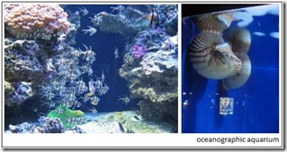 oceanographicaquarium