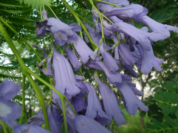 Spotting Image 1