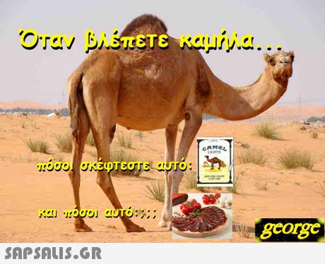 Όταν βλεπετε καμήλα