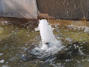 Fountain at Phoenix