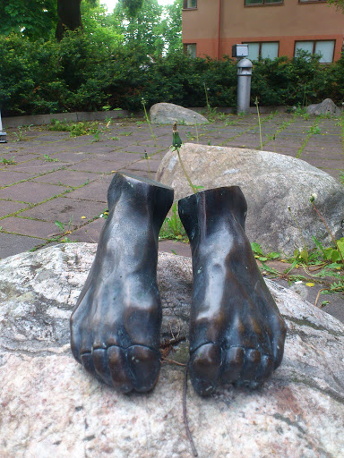 Fötter