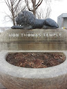 Thomas Temple Lion