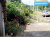 Hermoso Terreno En La Playa De Mompiche