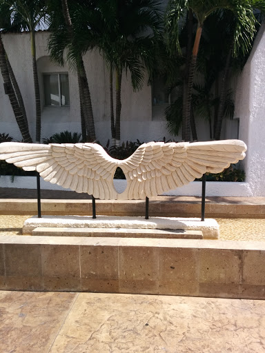 Wings at GR Caribe