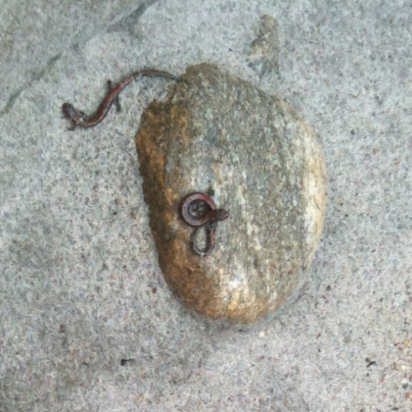 Spotting Image 1