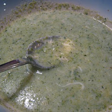 Broccoli-Cauliflower Soup