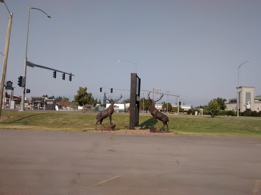 Elks Twin Statue