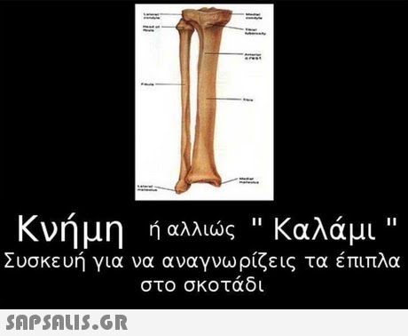 κνήμη ή αλλιώς καλάμι Συσκευή για να αναγνωρίζεις τα έπιπλα στο σκοτάδι 