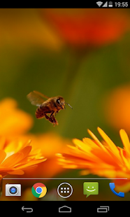 How to mod Insects wallpapers HQ 1.0.2 unlimited apk for pc