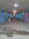Light And Sounds Tunnel