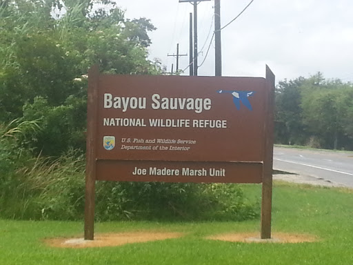 National Wildlife Refuge - Bayou Sauvage