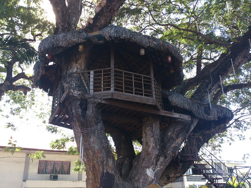 Balaoan Tree House