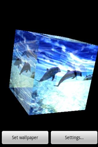 3D Dolphin