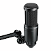 Audio Technica At2020 Microfono Estudio Grabacion