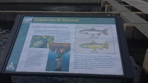 Rainbows and browns