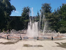 中央喷泉
