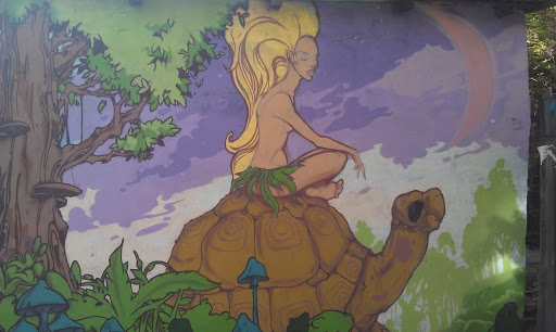 Graffiti - The Girl on Turtle