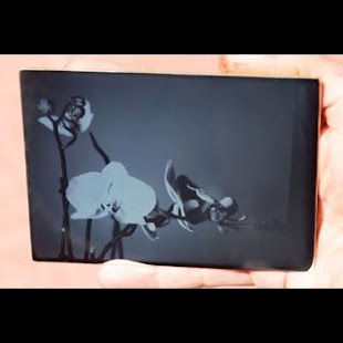 How to download Daguerreotype + Wet Collodion lastet apk for android