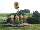 Sunflower Estates 