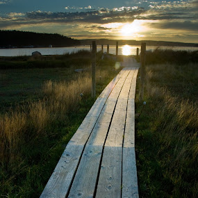 Decatur Island Boardwalk by Kirsten Morse - Landscapes Prairies, Meadows & Fields