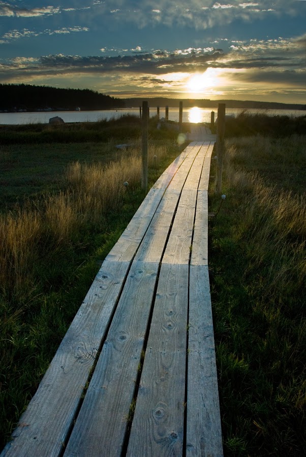 Decatur Island Boardwalk by Kirsten Morse - Landscapes Prairies, Meadows & Fields