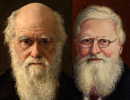 Darwin-and-Wallace-190.gif