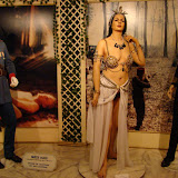Sex Museum