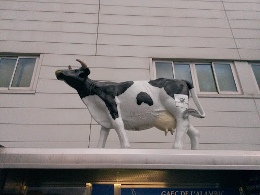 La Vache