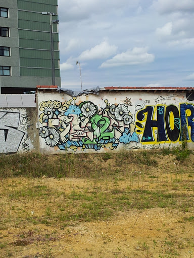 Fresque Graffiti