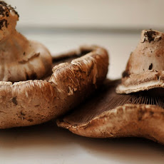Will’s Mushrooms