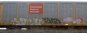 PICT0814.JPG