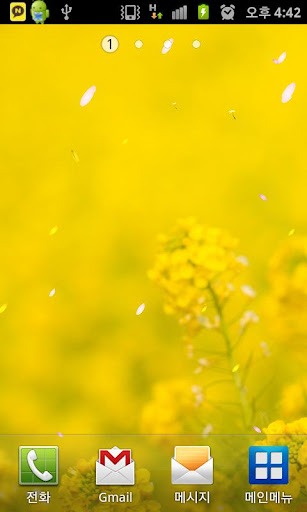 rapeflower [Live Background]