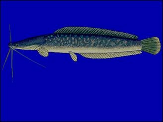 [clip_image002[16][2].jpg]